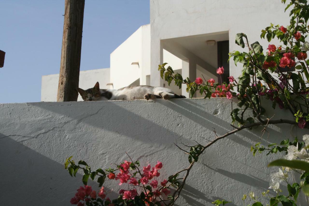Auberge Keur Diame Dakar Eksteriør bilde